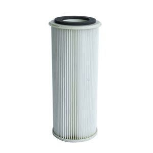 Industrial-Grade Pulse Pleated Filter for Clean Air Solutions