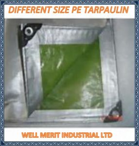 Polyethylene Tarpaulin PE Tarpaulin with Different Size