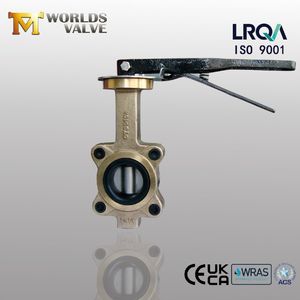 Tianjin Worlds Valve B148 C95200 C95400 C95500 C95800 Bronze Brass Hastelloy Alloy20 Lugged Central Line Handle Lever Butterfly Valve for Sea Water