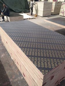 15mm, 18mm Shuttering Plywood/Film Faced Plywood for Construction/Building