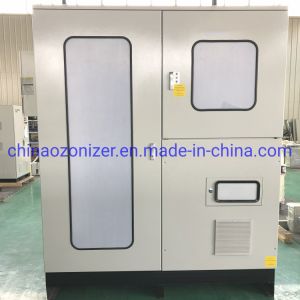 5 Ton High Cencentration Ozone Water Equipment for Water Treatment, Aquaculture, Sterilization, Semiconductor Industry