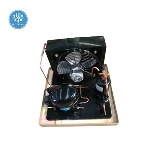 Secop Compressor 0.25~1HP Series Open Type Condensing Unit for Small Cold Room/Refrigerator/Wine Cabinet