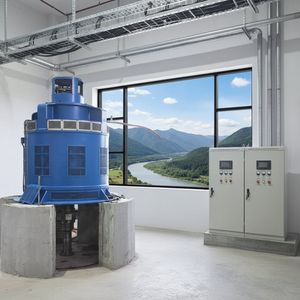 Automatic Remote Control Micro Hydro Power Generator 10kw 25 Kw 30kw