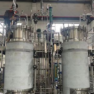 Ollital Stainless Steel Fermentation Bioreactor Micro-Bioreactor