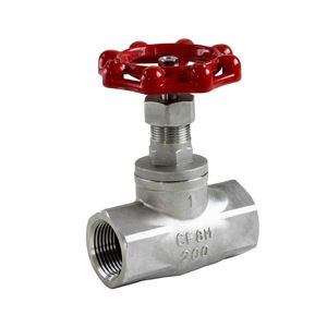 Female Thread Stainless Steel Globe Valve