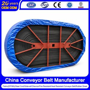 China Steel Cord Conveyor Belt Manufacturer Acid/Alkali/Abrasion/Fire/Cold Resistant Flame Retardant Rubber Conveyor Belt for Mining/Power/Chemical/Steel/Port