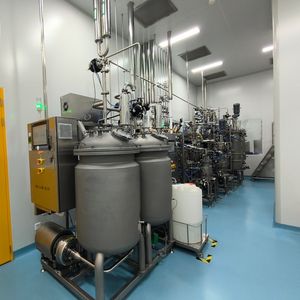 Stainless Steel 316L Bioreactor with Full Automatic pH Adjustment