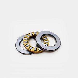 High Quality Cylindrical Roller Thrust Bearings 81102 Tn