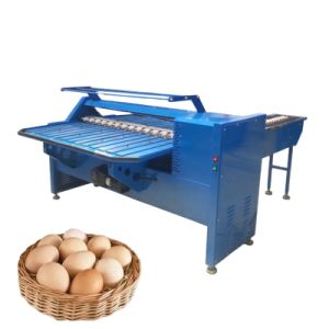 Hot Selling Automatic Egg Grading Machine with CE