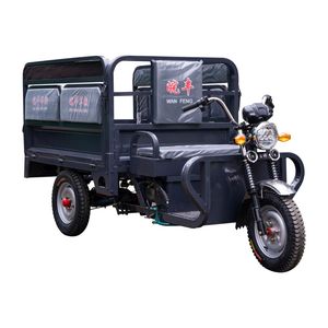 Low Speed Safety Protected Durable Structure Electric Bicycle Tricycle for Farm Transport