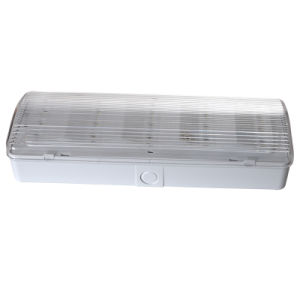 Test Button IP20 LED Wall Surface Mounted Emergency Rechargeable Light