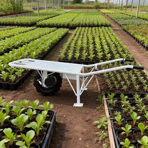 Durable Multi-Purpose Utility Cart for Efficient Transport and Storage