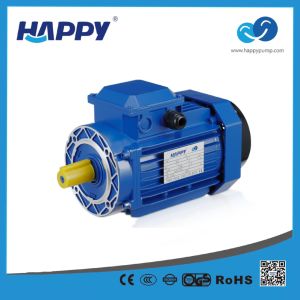 Factory Electrical China Water Pump Motor Price (MF)