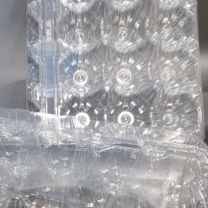 Recyclable Pet Clear Egg Container Eco-Friendly Clamshell Packaging for Bulk Wholesale