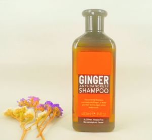 400ml Hot Selling Shampoo Ginger