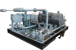 Natural Gad Piston Compressor for Portable Use with Advanced Cooling System for Reliability