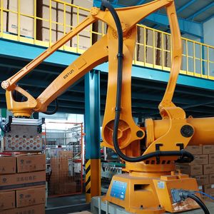 High Speed Fanuc Robotic Palletizer for Box Carton and Sack Stacking Applications
