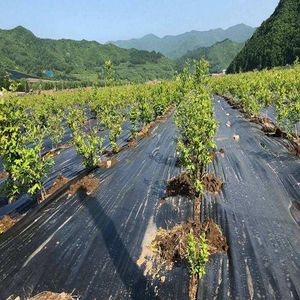 Agricultural Gardening Weed Mat Permeable and Degradable Grass Proof Geotextile