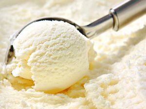 Ice Cream Powder for Ice Crem