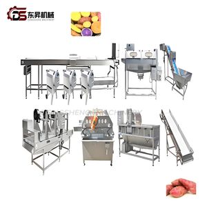 High Yield Processing Set with Sorting Machines for Small Businesses Root Vegetable Production Line