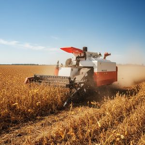 Crawler Track Mung Beans Harvester Soybean Harvester Track Combine Harvester
