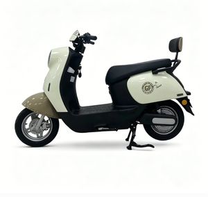 Electric Scooter "Golden Tortoise" with Backrest, 1000W Motor, Front & Rear Drum Brake
