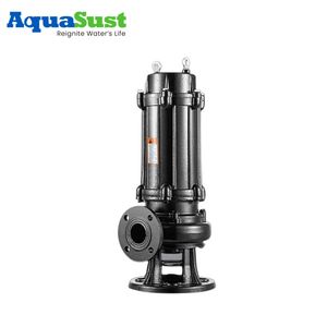 Aquasust Industry Factory Direct Manufacture High Quality Screw Pump