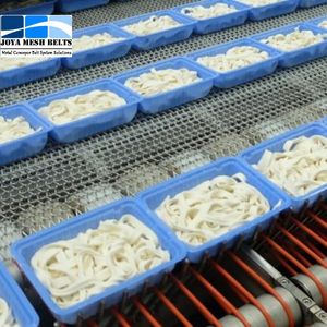 Stainless Steel 304/316 Balanced Wire Mesh Conveyor Belt for Baking Ovens Conveyoring