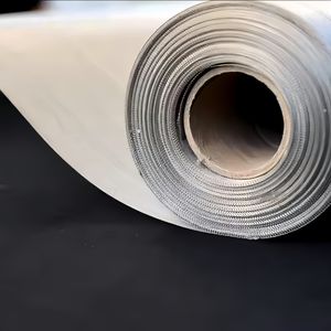 Woven Wire Mesh SS304 316 500 Micron Stainless Steel Wire Mesh