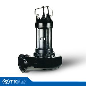 Small Type Submersible Sewage Water Pump with Motor
