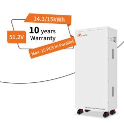 Felicityess Top-Rated 48V 15kwh 300ah LiFePO4 Lithium Battery Perfect for Innovative Energy Storage Solutions