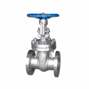 Stainless Steel 200psi / Pn16 Gate Valve