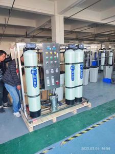Commercial Ultrafiltration 250L/H Water Purification System Stainless Steel Treatment Equipment