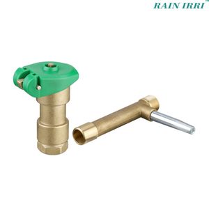 3/4" Brass Quick Coupling Valve 3/4 for Garden and Lawn Irrigation Project