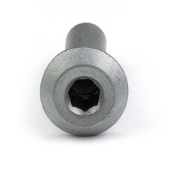 Carbon Steel Flat Button Head Torx Slot Nut Rivet Nut Cold Forging Parts Furniture Nut