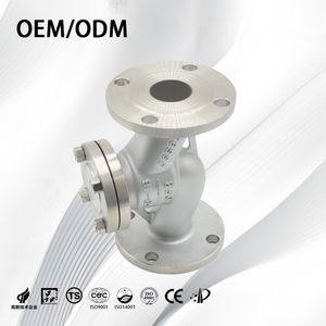 Stainless Steel High Pressure Corrosion Resistant Swing Check Valve with Flange
