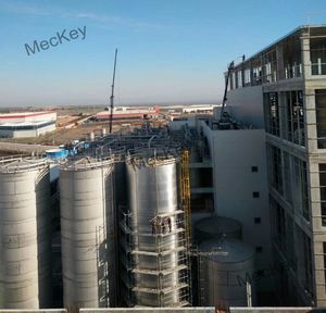 Monohydrate Citric Acid Production Line and Processing Equipment