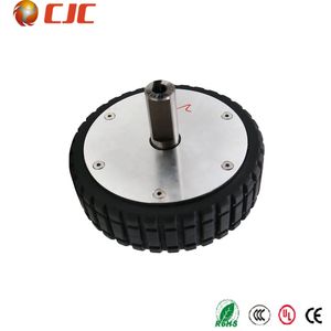 24V 125W Brushless Electric Hub Motor BLDC Hub Motor for Agv/Robot/Scooter