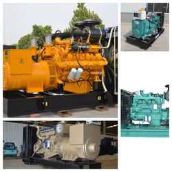 10-300kw Reliable Anaerobic Biogas Power Generator Plant System