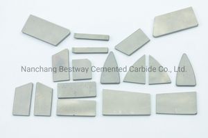 Tungsten Carbide Plates for Agriculture