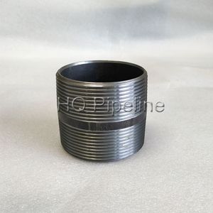 Carbon/Stainless Steel Hose Pipe Fitting Bsp/NPT Threaded Barrel Nipple Swage Nipple