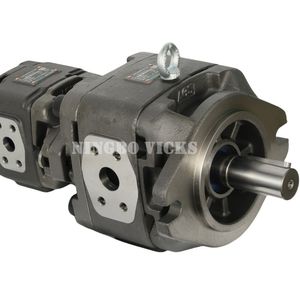 Versatile Internal Vg Series Combined Gear Pump for Industrial Applications