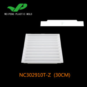Plastic Injection Mould Concrete Formwork Spacer Mold (NC302910T-Z) 30cm