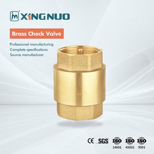 China Suppliers Weight 92-2200g Brass Swing Check Valve for Drinking Water