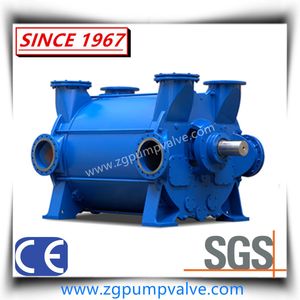 Horizontal Liquid Water Ring Vacuum Pump of Coal Mine Washing Industry
