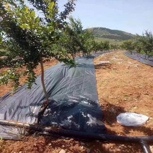 Customized Agricultural Geotextile Mat Made From Spunbond Polypropylene