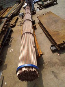 Premium Stainless Steel Shell & Tube Heat Exchanger for Swimming Pools