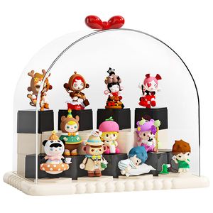Clear Acrylic Display Case for Building Block Figurines