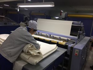100% Cotton Greige Cotton Airjetlum Truck in Selvedge Greige Fabric Price