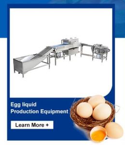 Affordable Egg Washing Machine for Efficient Liquid Production Line